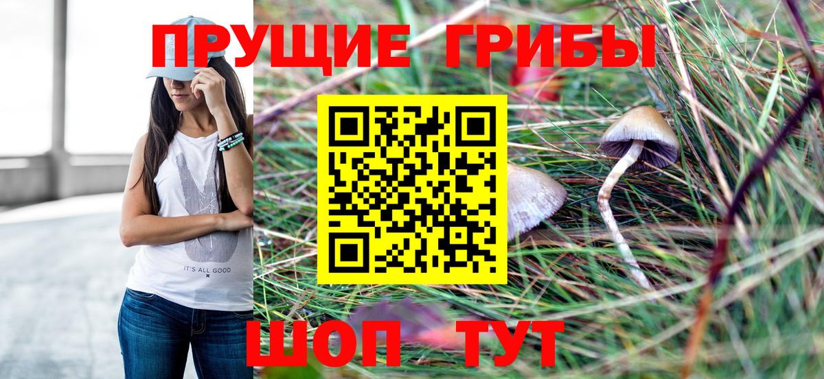 Псилоцибиновые грибы Magic Shrooms Фурманов