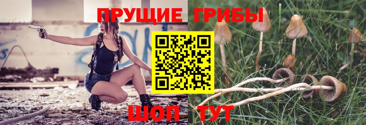 Фурманов  Галлюциногенные грибы GOLDEN TEACHER  как найти закладки  Вход с VPN 